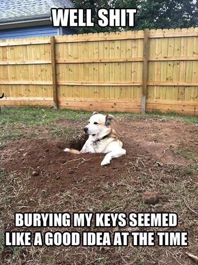 10487610_563716620399307_5173367493977434912_n