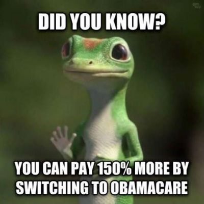 10525879_10205253016747667_3590787590178254598_n