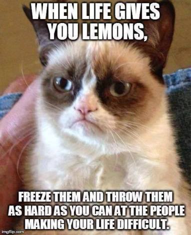 10649504_1473441169604999_7011055661336374083_n