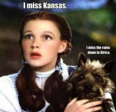 10686776_10154583895450058_1308288777817705036_n