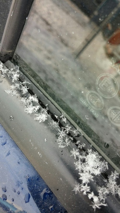 2014_10 30 Never seen snow like this!