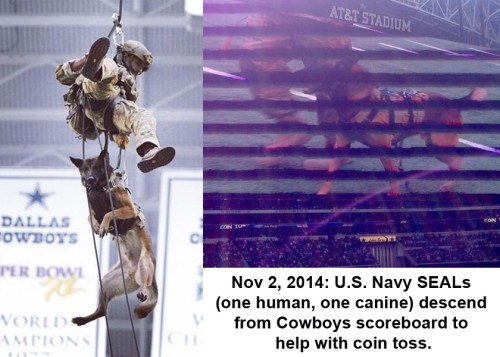 2014_11 Seal and dog rappel into NFL stadium