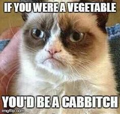 8ae745a9d1c585fcafff3fa082a49767