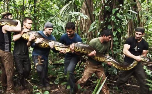 Eaten Alive Sneak Peek | Sun Dec 7 9/8c on Discovery