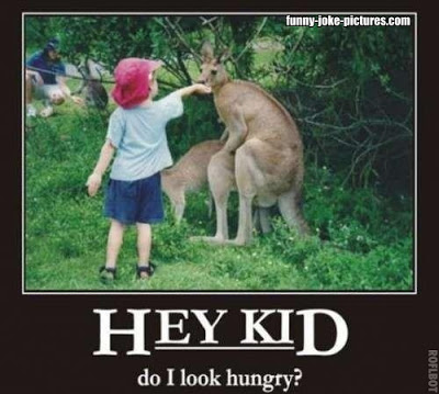 funny-child-feeding-hungry-humping-kangaroo