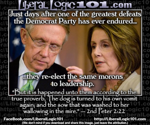 liberal-logic-101-1142