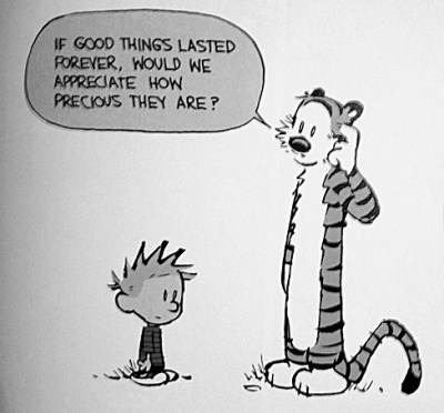 tumblr_ml0nucn3gt1qb2ur1o1_500