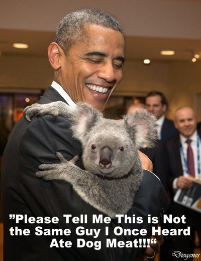 tumblr_nf3uicAhYQ1s9dnijo1_1280