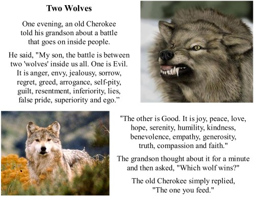 Two Wolves
