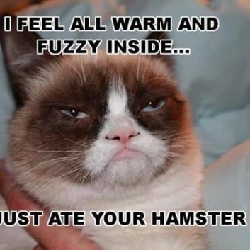 What-Makes-Grumpy-Cat-Warm-Inside