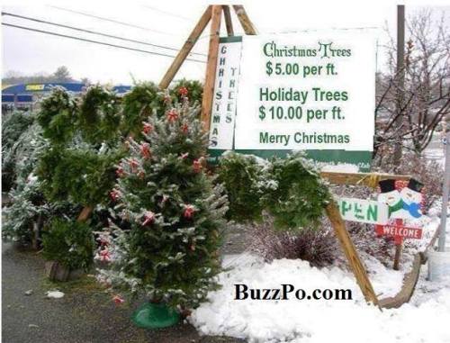 1376595_10152516928871733_1340327008549773833_n