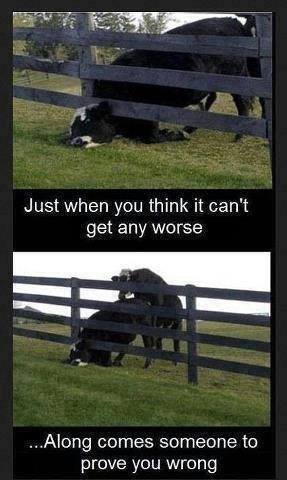 1450344_458186714285632_1089946596_n