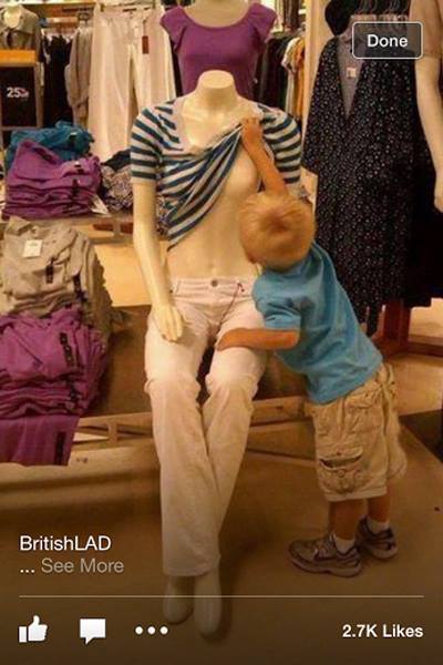 1471132_458256090945361_152850994_n