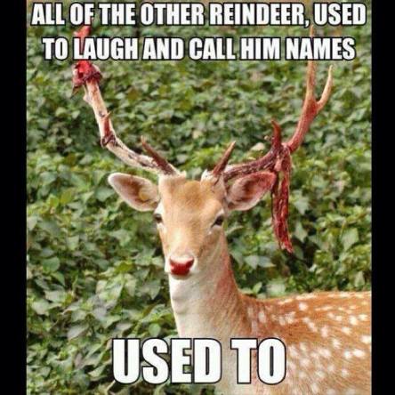 1524872_616479948388390_2128201745_n