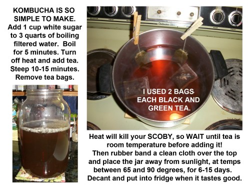 2014_11 24 Making BOOCH brew one