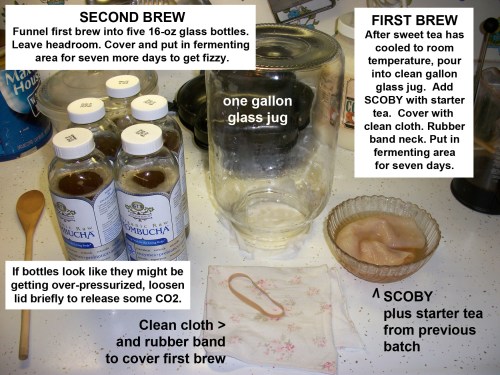 2014_12 09 First and second brew set up