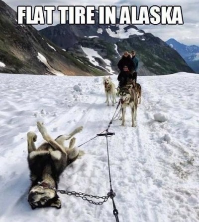 ALASKA flat tire