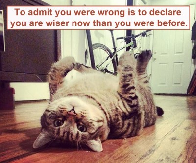 CAT 2014_01 LOLCAT photo by Heather