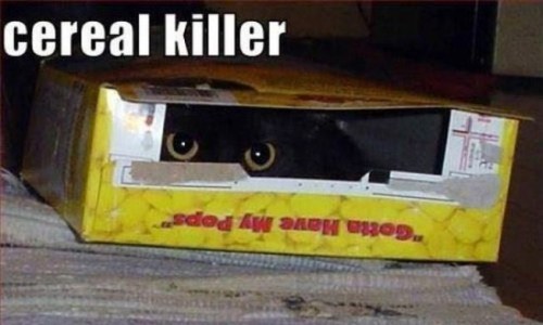 CAT cereal killer