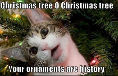 CAT CMAS ornaments are history