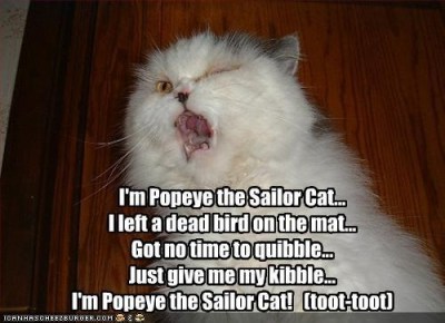 CAT Popeye