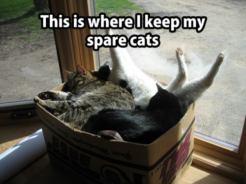 CATS storage for spares