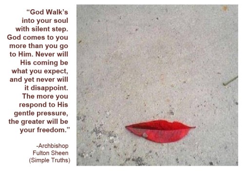 Leaf it to your imagination w Fulton Sheen quote