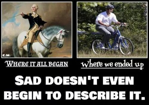 0-50285800-1418097957-facebook_1418097905655-500x351