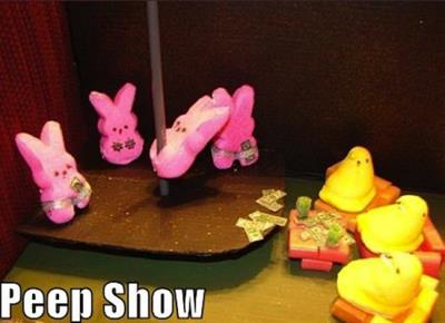 10277507_516592358445067_4137786964107245068_n