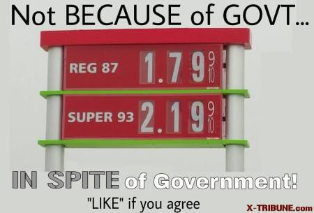 10366191_1534000806873435_229888154237601738_n