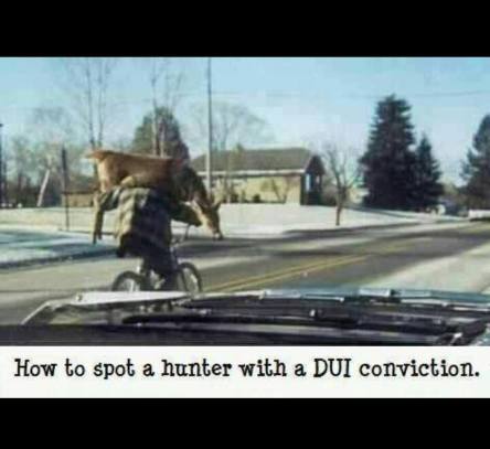 1382001_617588304945895_414625958_n