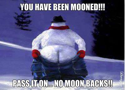 1508143_460352340735736_857280910_n