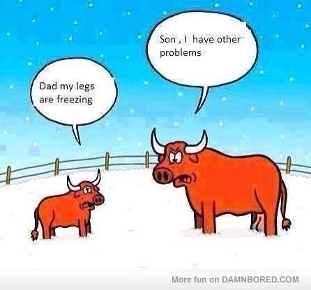 1796441_636582239711494_1131380027_n