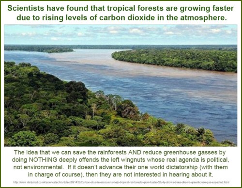 2014_12 30 CO2 makes tropical rainforest grow