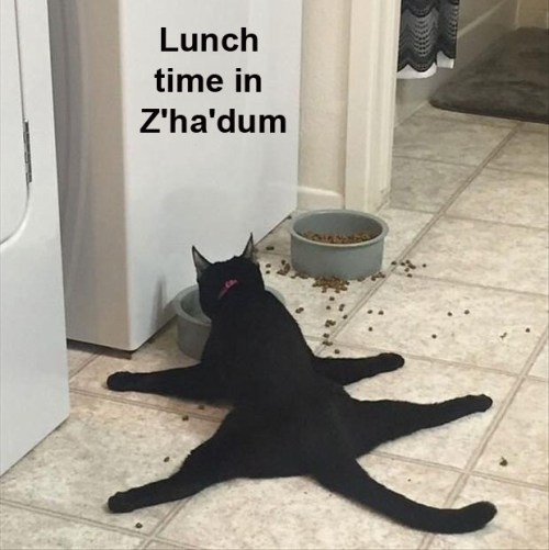 CAT Shadow Z'ha'dum
