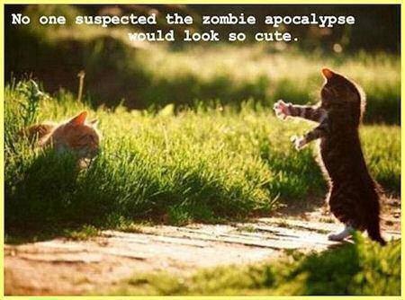 CAT Zombie apocalypse