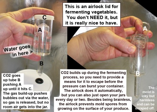 Fermenting airlock lid