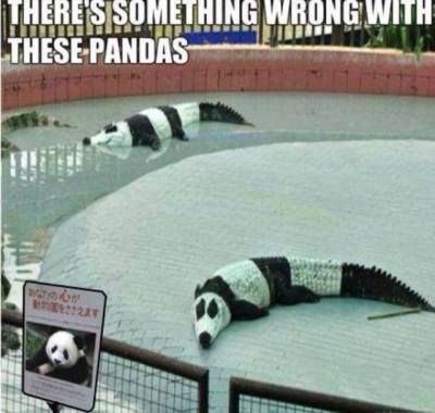 10462585_756242394413818_5656288057843454289_n