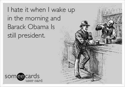 10801971_317499081786940_5629911115818220437_n