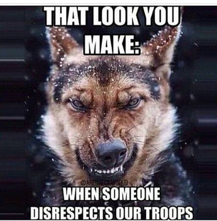 10930121_867911626604080_2749212045234635239_n