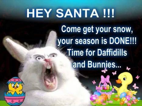 1557530_625558560866547_1081124000_n