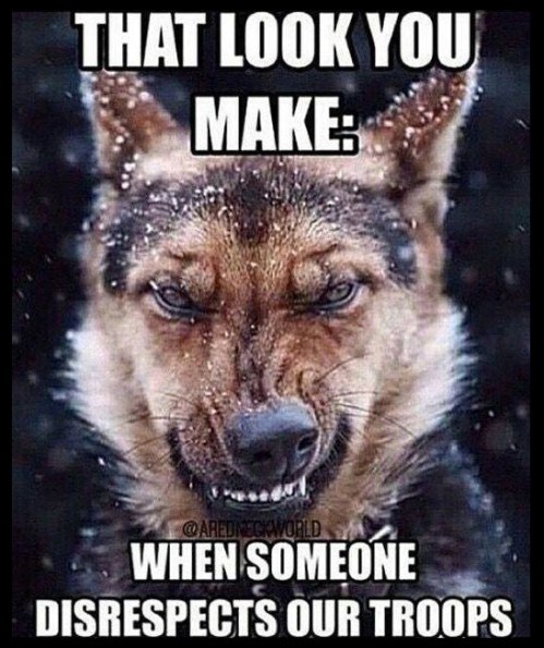 DOG look for troops dis