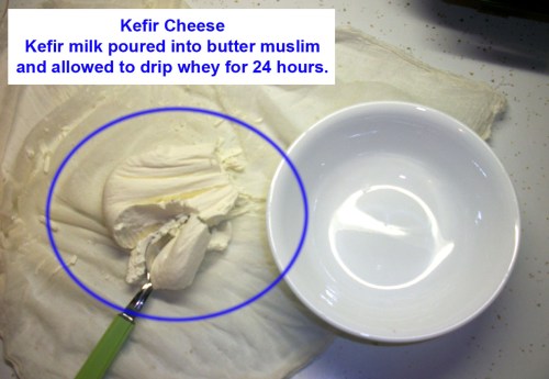 Kefir cheese