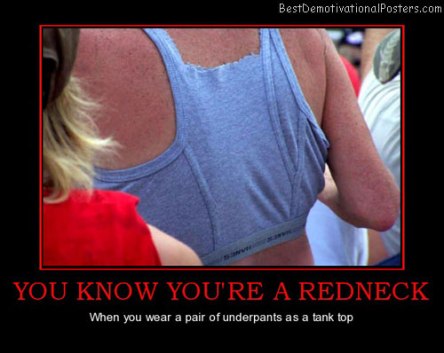 you-know-youre-a-redneck-best-demotivational-posters