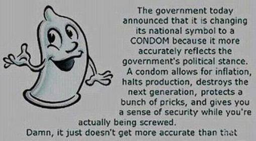 10377468_714660321913543_4317514180247596864_n