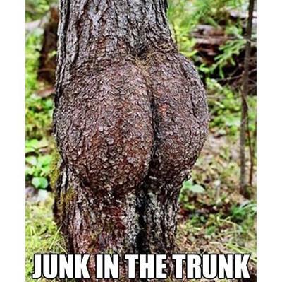 10494780_659280124176289_6148997914820776036_n