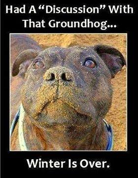 10995881_882122271829410_3657255613954640035_n