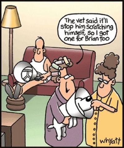 11043033_685628748208728_1127380898938382738_n