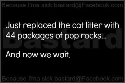 1898040_756753967727815_271553764160730360_n