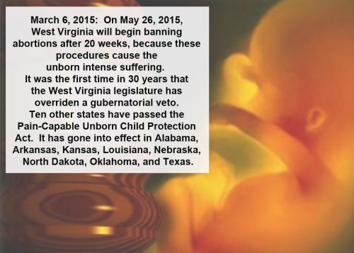 2015_03 06 WV passes Pain Capable Act